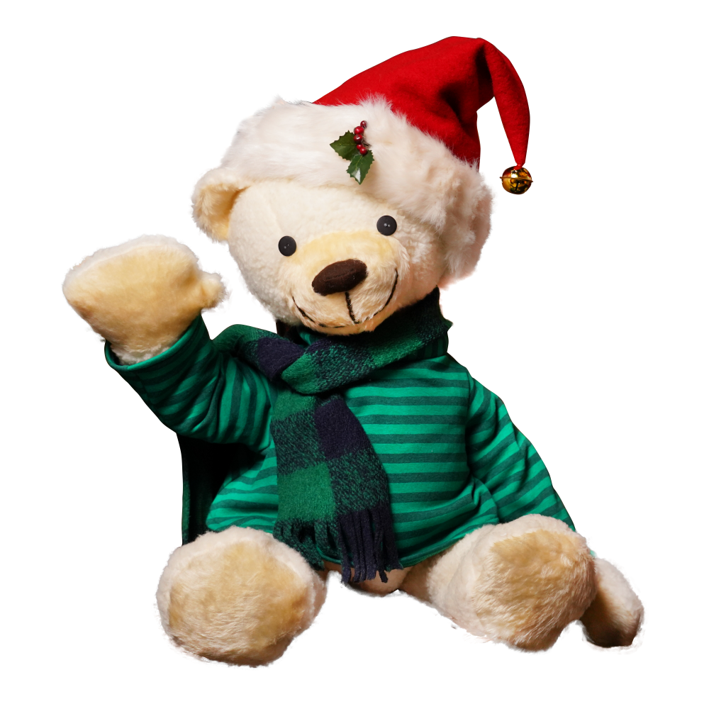 Elfin, the teddy bear