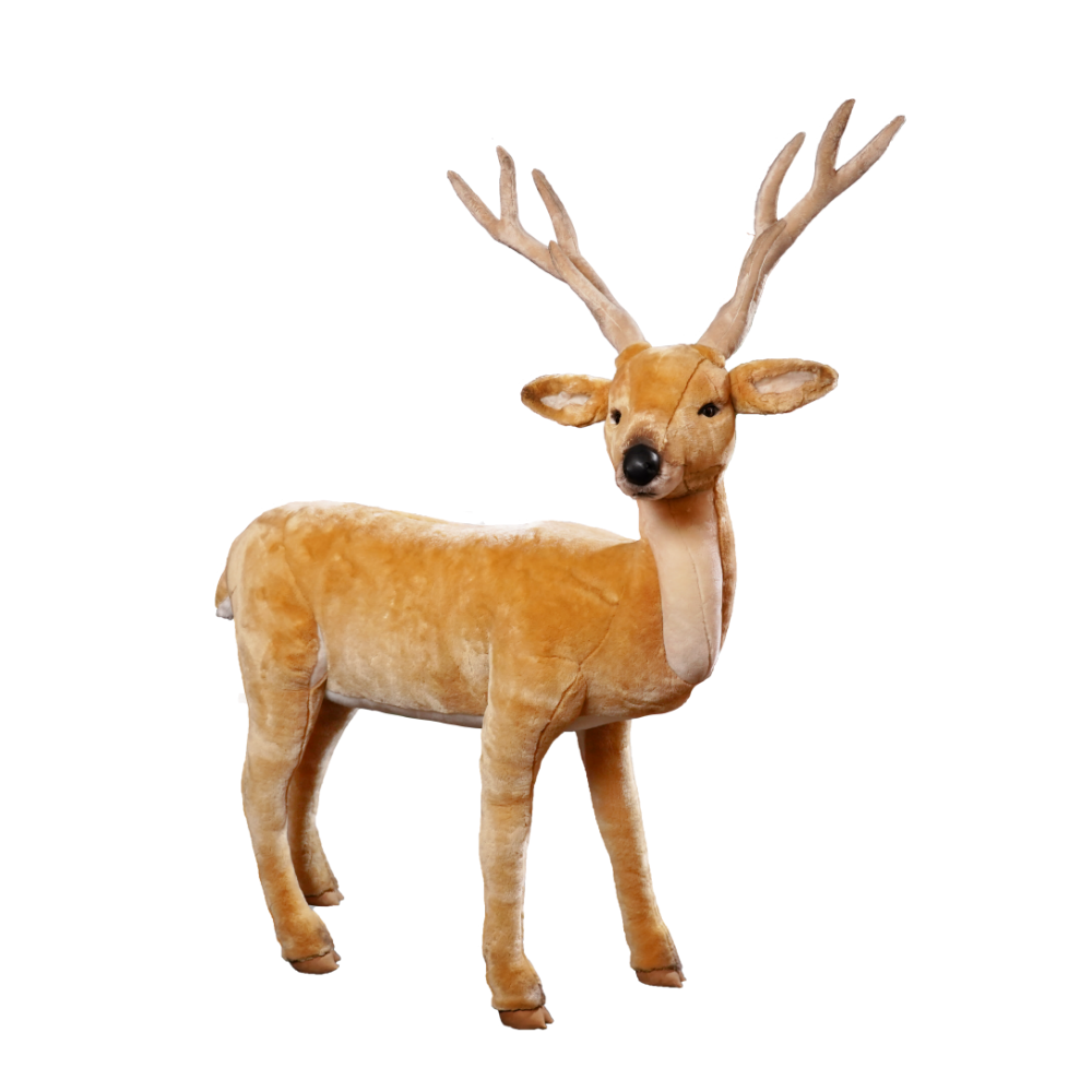 Buck deer, standing