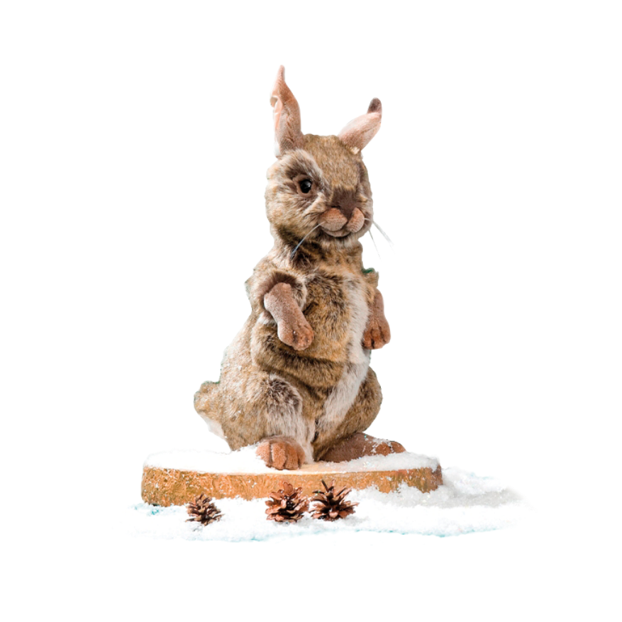 Brown rabbit, sitting