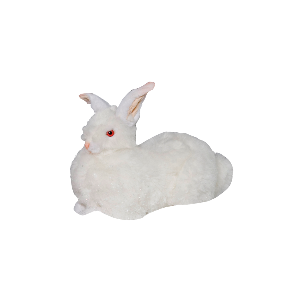 White rabbit, lying