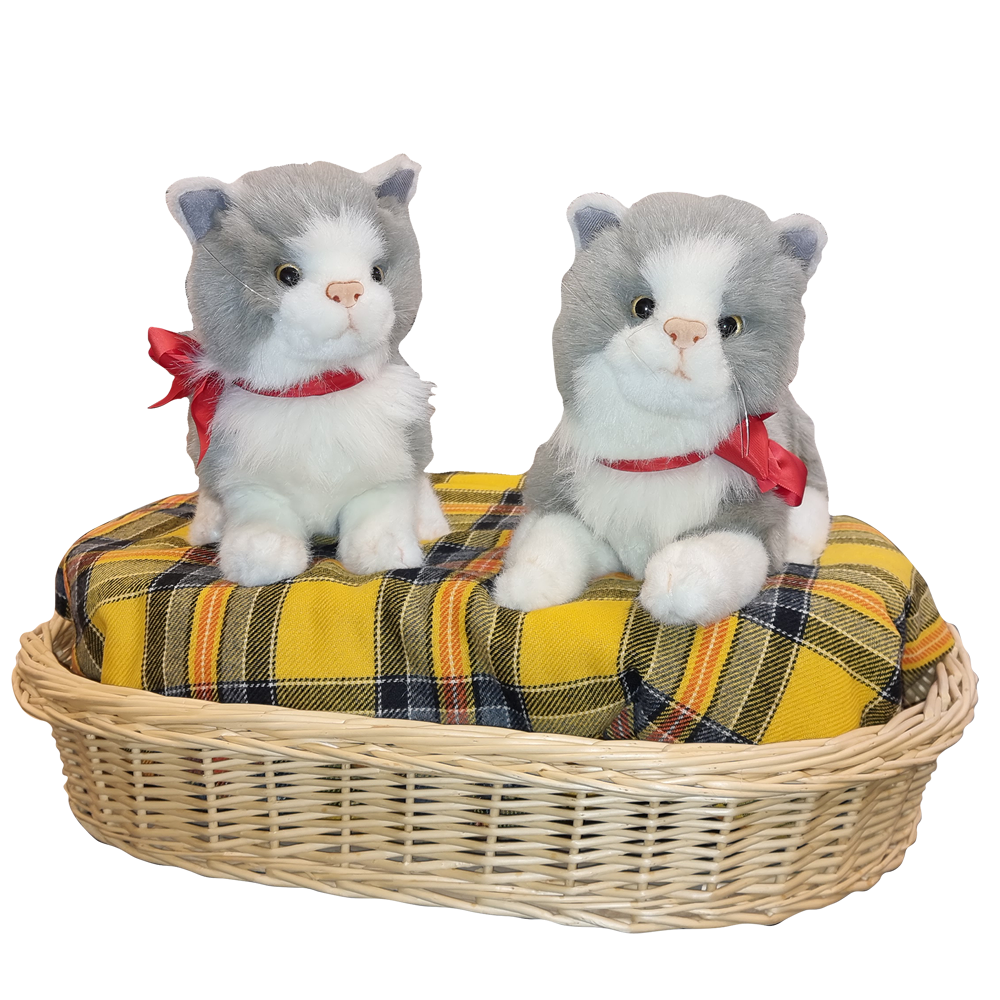 2 Kittens in a Basket